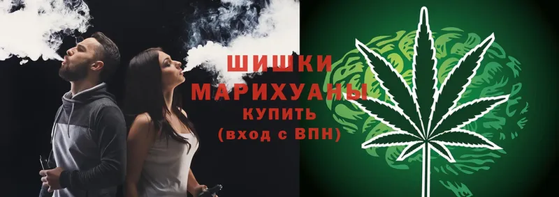 Бошки марихуана SATIVA & INDICA  купить наркотик  Луза 